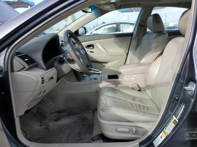 2009 Toyota Camry Hybrid