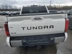 2024 Toyota Tundra Crewmax Limited