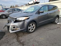 Ford Escape Vehiculos salvage en venta: 2014 Ford Escape SE