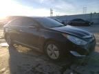 2013 Hyundai Sonata Hybrid