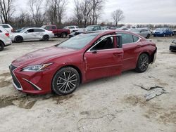 Lexus Vehiculos salvage en venta: 2022 Lexus ES 350 Base