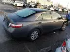 2009 Toyota Camry Hybrid