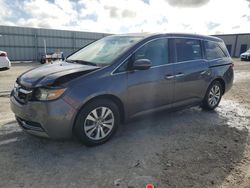 Salvage cars for sale at Arcadia, FL auction: 2015 Honda Odyssey EX