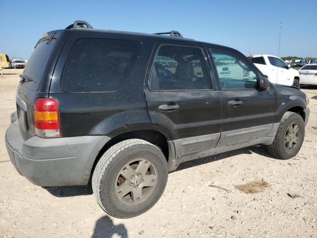 2005 Ford Escape XLT