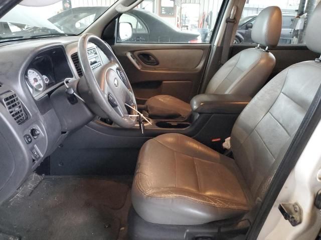 2006 Ford Escape XLT