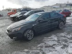 KIA Vehiculos salvage en venta: 2014 KIA Optima SX