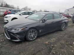 Lexus salvage cars for sale: 2024 Lexus ES 350 Base