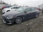 2024 Lexus ES 350 Base