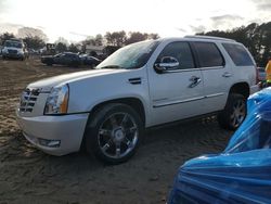 2010 Cadillac Escalade Premium en venta en Seaford, DE