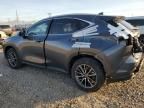 2024 Lexus NX 350H Base