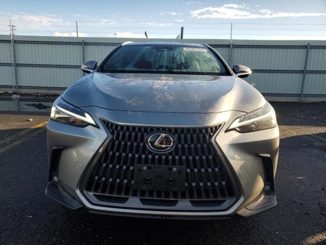 2024 Lexus NX 350 Base