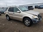 2004 Mercedes-Benz ML 350