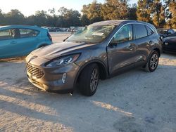 Ford Escape salvage cars for sale: 2022 Ford Escape SEL