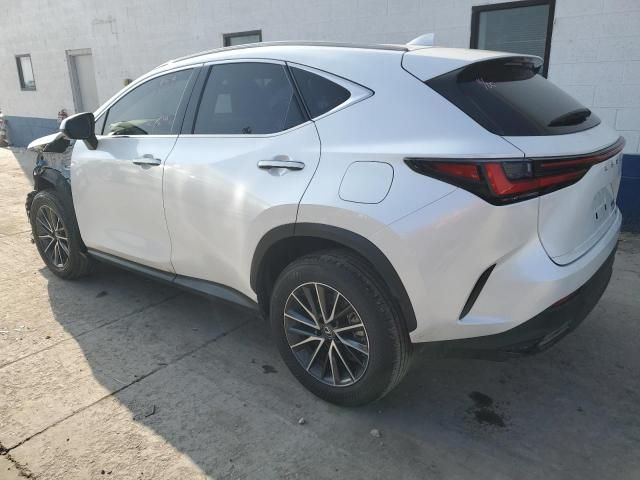 2023 Lexus NX 250