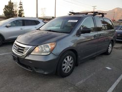 Salvage cars for sale at Rancho Cucamonga, CA auction: 2010 Honda Odyssey LX