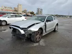 Ford salvage cars for sale: 2013 Ford Mustang