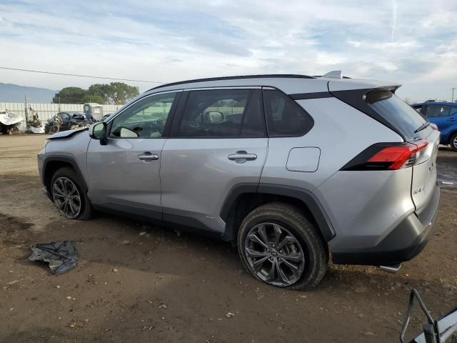 2023 Toyota Rav4 XLE Premium