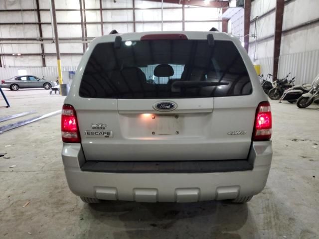 2008 Ford Escape XLT