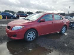 Toyota Corolla Base Vehiculos salvage en venta: 2010 Toyota Corolla Base