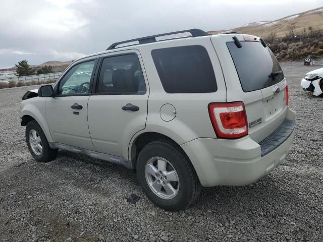 2009 Ford Escape XLT