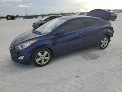 Salvage cars for sale at Arcadia, FL auction: 2013 Hyundai Elantra GLS