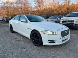 Jaguar Vehiculos salvage en venta: 2015 Jaguar XJL Portfolio