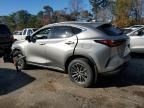 2025 Lexus NX 250 Premium