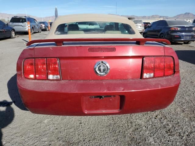 2005 Ford Mustang