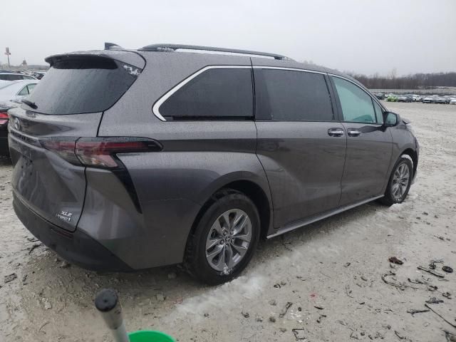 2024 Toyota Sienna XLE