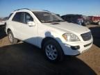 2006 Mercedes-Benz ML 350