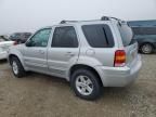 2005 Ford Escape HEV