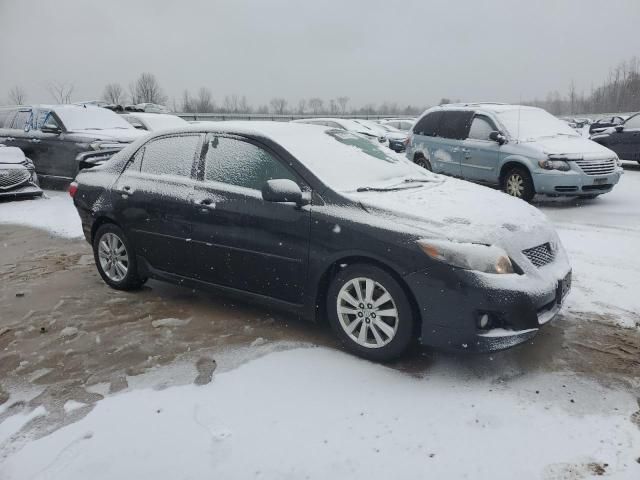 2010 Toyota Corolla Base