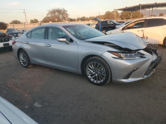 2020 Lexus ES 300H Luxury