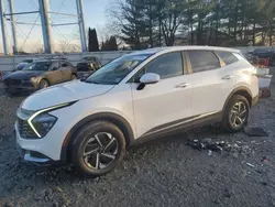 Salvage cars for sale at Windsor, NJ auction: 2023 KIA Sportage LX