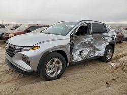 Salvage cars for sale at Albuquerque, NM auction: 2024 Hyundai Tucson SEL