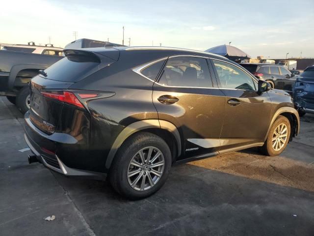 2019 Lexus NX 300H