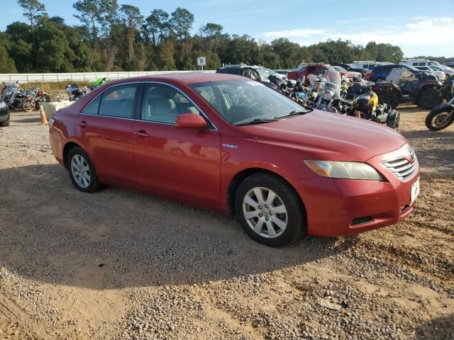 2007 Toyota Camry Hybrid