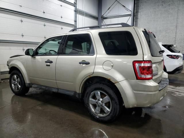 2010 Ford Escape XLT