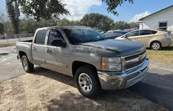 Salvage trucks for sale at Apopka, FL auction: 2013 Chevrolet Silverado C1500 LT