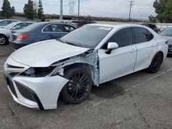 Salvage cars for sale at auction: 2024 Toyota Camry XSE