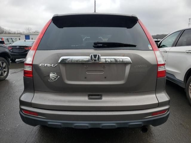 2010 Honda CR-V EXL