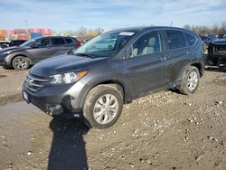 Salvage cars for sale at Columbus, OH auction: 2014 Honda CR-V EXL