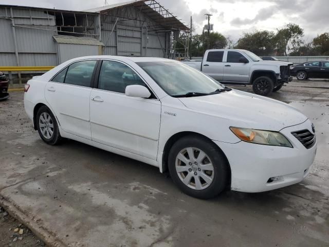 2008 Toyota Camry Hybrid