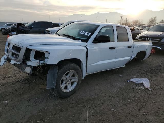 2010 Dodge Dakota SXT