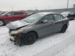 Honda Civic lx Vehiculos salvage en venta: 2012 Honda Civic LX