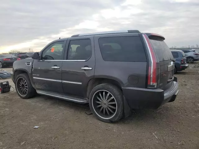 2010 Cadillac Escalade Luxury