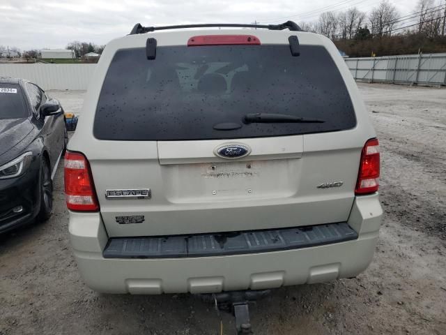 2009 Ford Escape XLT