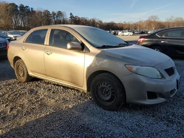 2010 Toyota Corolla Base