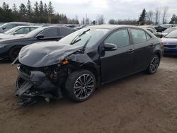 Toyota Vehiculos salvage en venta: 2014 Toyota Corolla L