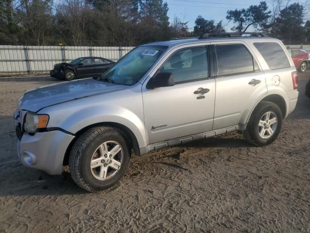 2010 Ford Escape Hybrid